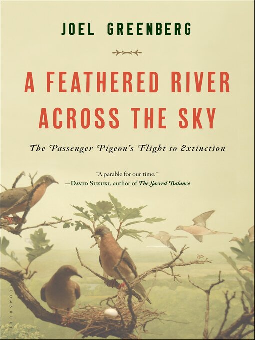 Cover image for A Feathered River Across the Sky
